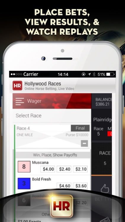 Hollywood Races – Online Horse Betting, Live Video screenshot-4
