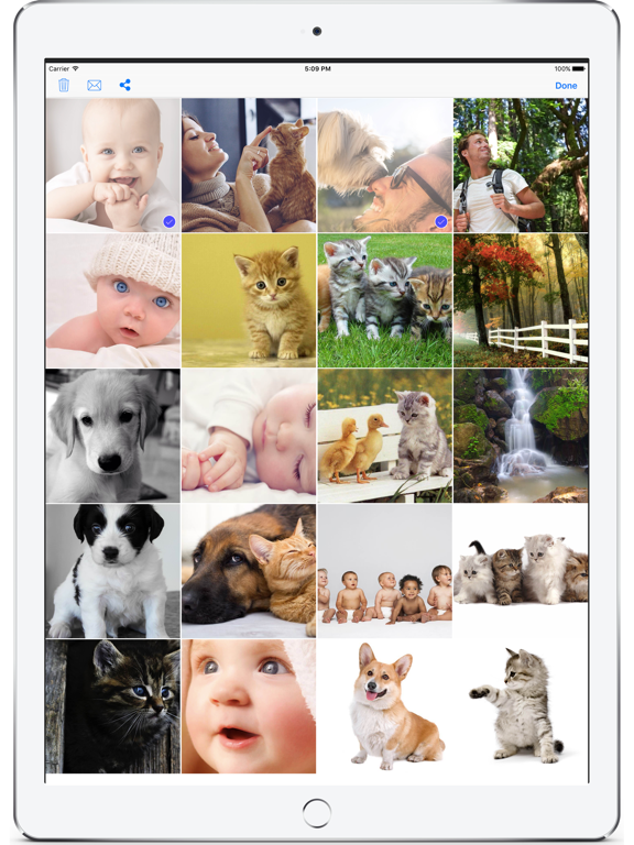 PhotoZonic iPad screenshot 5 - Photo & Video app