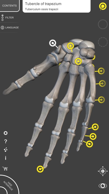 Skeleton - 3D Atlas of Anatomy screenshot-3