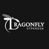 Dragonfly Studio