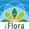iFlora ist eine BESTIMMUNGS-APP FÜR PFLANZEN, welche die gesamte Flora Deutschlands umfasst