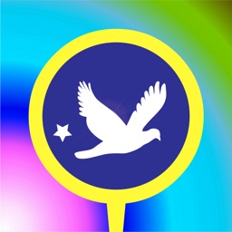 Best Flying Endless Dove Game for Kids and Toddler