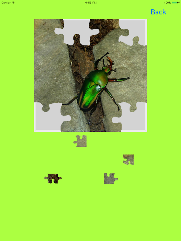Screenshot #6 pour Rhinoceros Beetle Jigsaw Puzzle