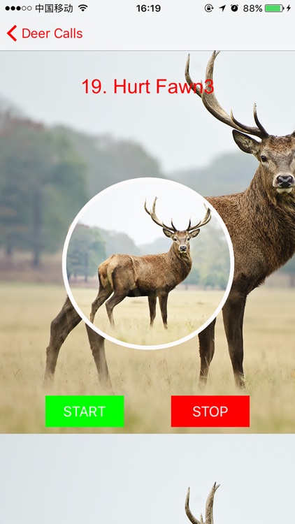 Deer Hunting Calls Plus screenshot-3