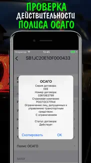 vin code decoder scanner auto iphone screenshot 4