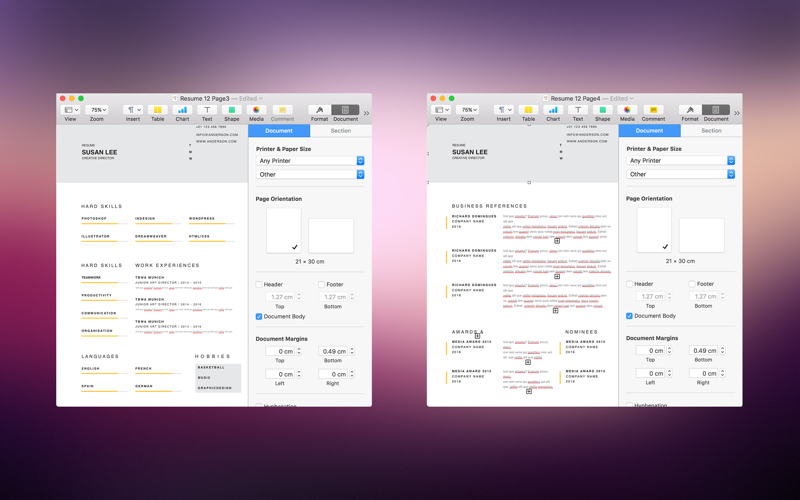 Resume Template(A4 Size) for Pages thumbnail 1