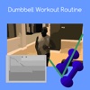 Dumbbell workout routine