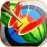 Fruit Archery Arrow Stick icon