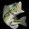 Virtual Bass Fishing 3D