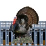 Get Turkey Call Mixer for iOS, iPhone, iPad Aso Report