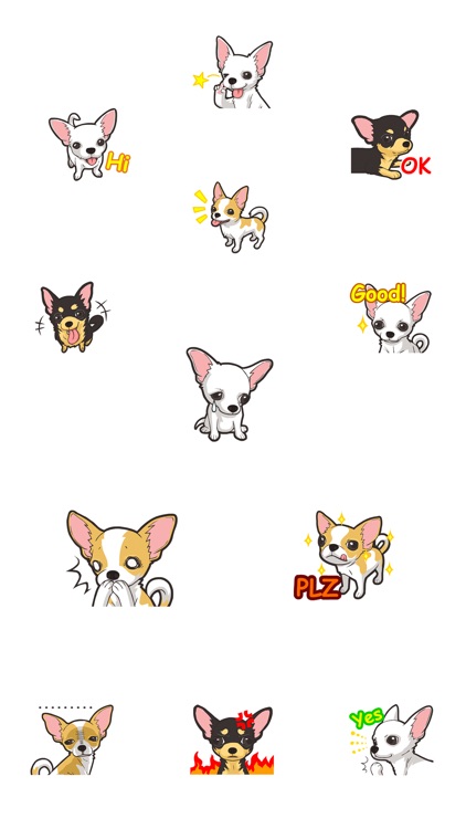 Chihuahua Dog - Stickers