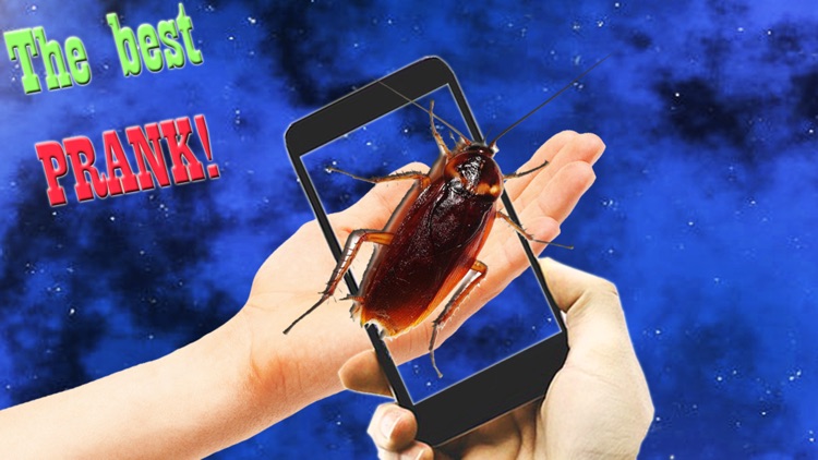 Cockroach On Hand Mega Prank