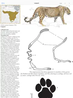 Mammals of the Southern African Subregion iPad image 2