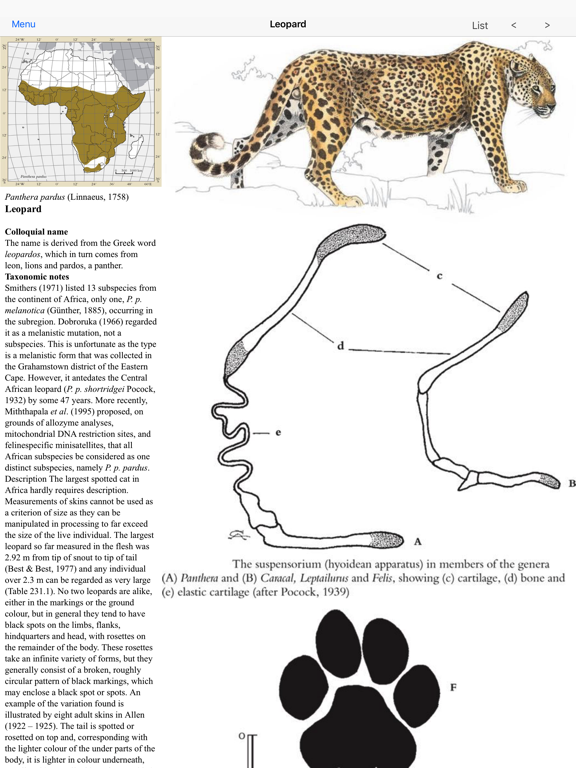 Screenshot #5 pour Mammals of the Southern African Subregion