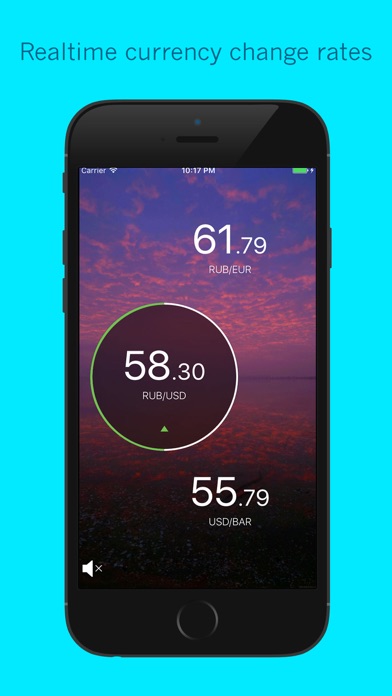 How to cancel & delete Rubletation Rates - meditation on ruble rate from iphone & ipad 1