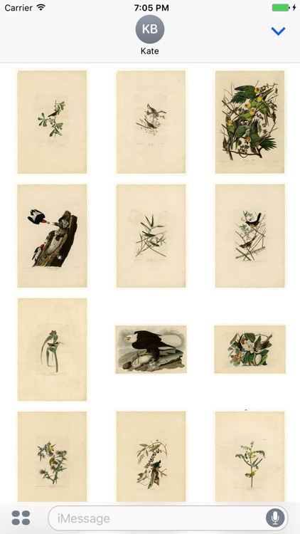 Audubon Artworks Stickers