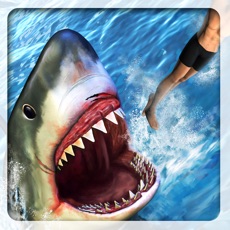 Activities of Angry Attack Shark-Revenge Of Killer Fish At Beach