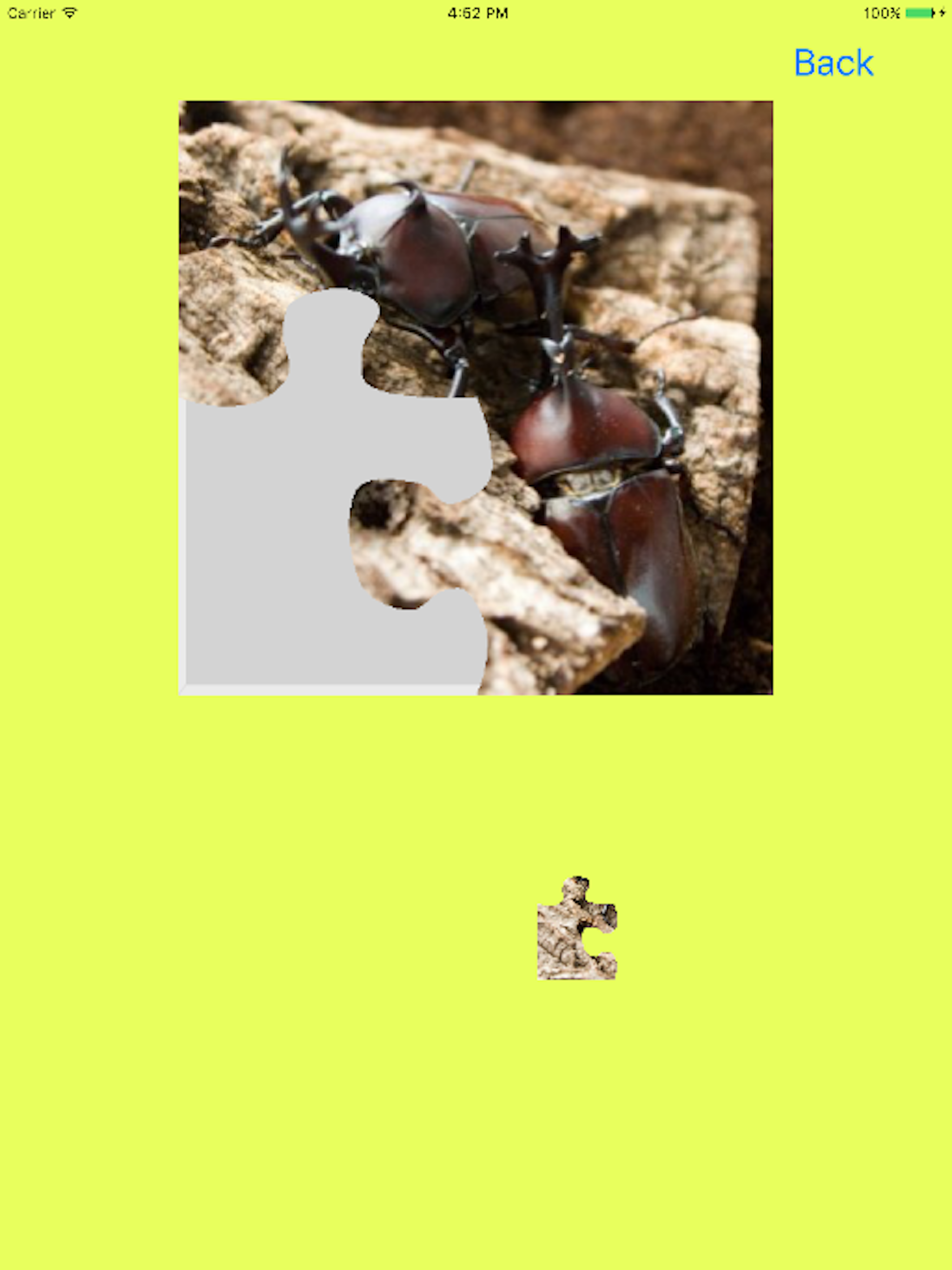 Rhinoceros Beetle Jigsaw Puzzle