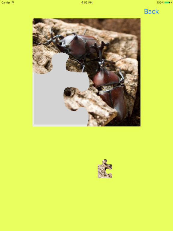Screenshot #4 pour Rhinoceros Beetle Jigsaw Puzzle