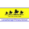 Lisnasharragh Primary School (BT6 9LS)