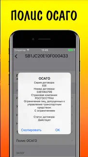 vin code auto check ГИБДД ФССП ФНП РСА problems & solutions and troubleshooting guide - 3