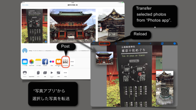 Screenshot #2 pour Pages IN Slate