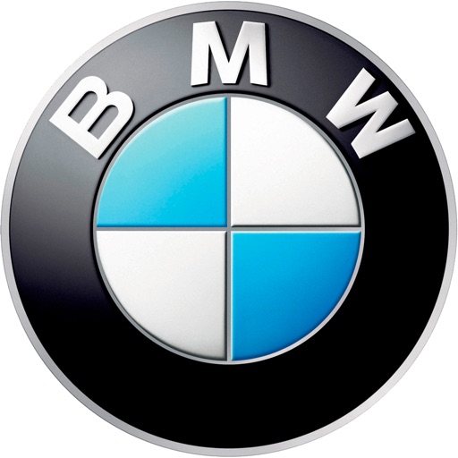 BMW Барс icon