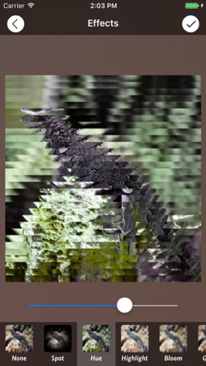 Photo Editor Flip(圖4)-速報App