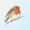 eGuide to British Birds - mydigitalearth.com