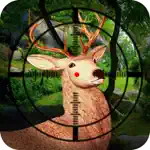 The Deer Bow Hunting-Real Jungle Archery challenge App Support
