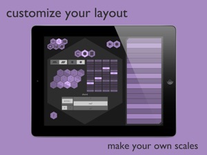 Chordion : Musical Instrument & MIDI Controller screenshot #1 for iPad