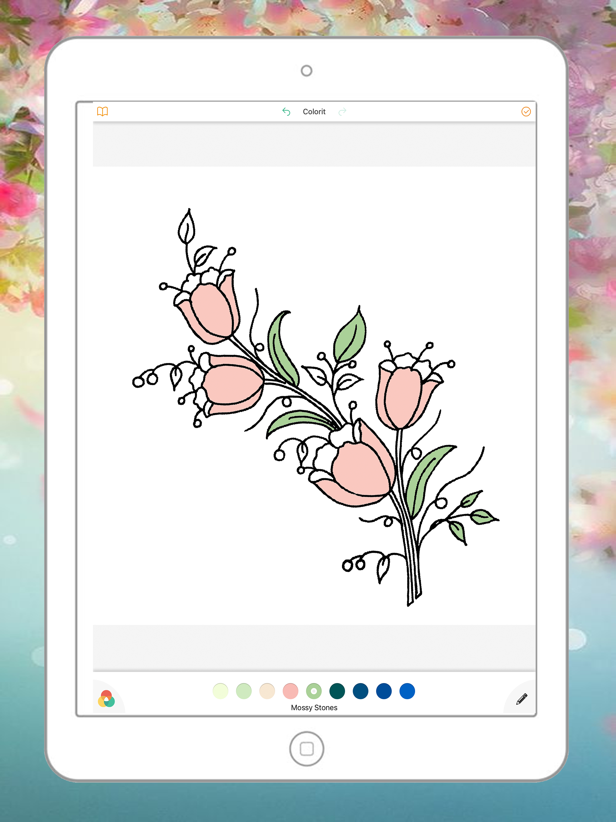Kid Coloring Flowers Book - Drawings Art