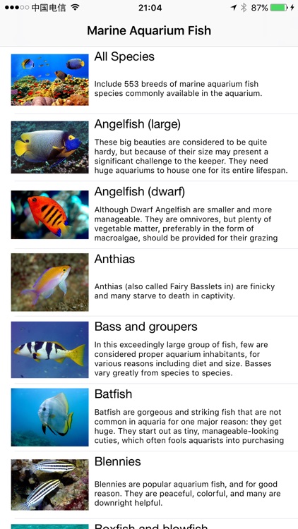Marine Aquarium Fish