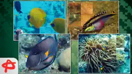 Game screenshot Зов Природы: Бесплатные Пазлы и Головоломки apk