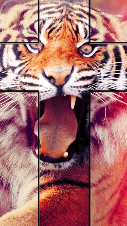 HD Wallpapers Background