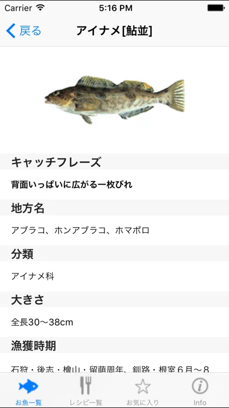 おさかな日和