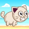 Cat Adventures Game