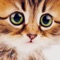 ====== BEST KITTEN WALLPAPERS APP EVER