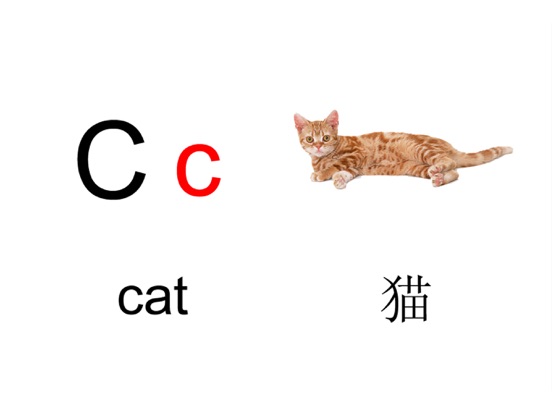 Screenshot #6 pour 英文字母表
