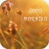 Text On Good Morning Pics