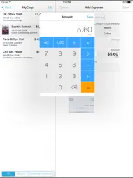 BizExpenseLite ipad bilder 3