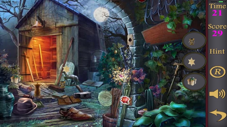 Hidden Objects Of The Ring Of Lost Souls screenshot-3