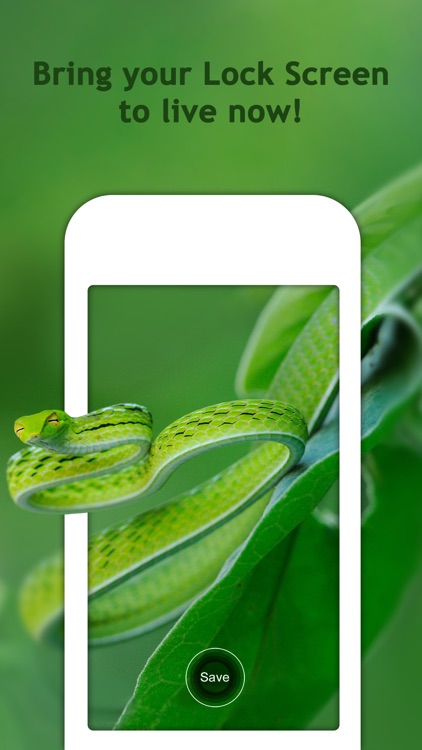 Wallpapers for Live Photos screenshot-4