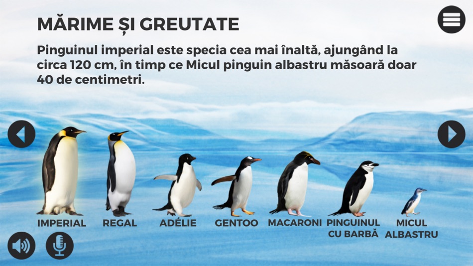 Pinguini - 1.0 - (iOS)