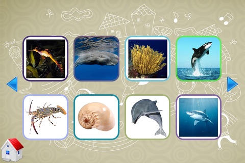 Learning Birds and Sea Creatures for kid screenshot 3