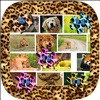 動物のジグソーパズル - 面白い写真動物と子供ジグソーパズル！