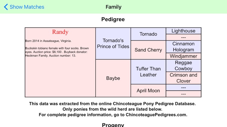 Chincoteague Pony Names screenshot-4