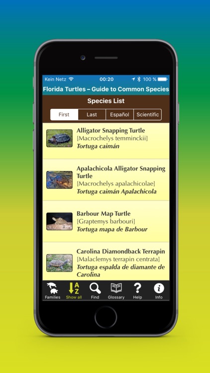 Florida Turtles – Guide to Common Species