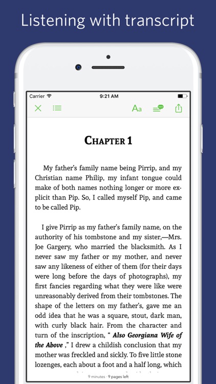 Great Expectations - sync transcript, notes