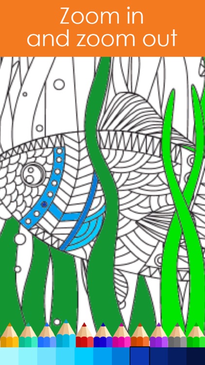 Animal Colorful - Coloring Book for Adults